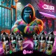 Knoks Le Club Pack50ml