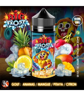 Big Plop - Big Frost 100 ml